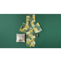 My wooden world forest